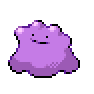 Ditto