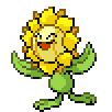 Sunflora