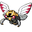 Ninjask