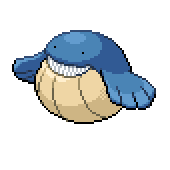 Wailmer