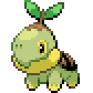 Turtwig