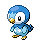 Piplup