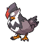 Staraptor