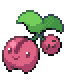 Cherubi