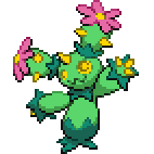 Maractus