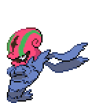Accelgor