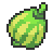 Aguav Berry