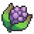 Cornn Berry