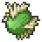 Rabuta Berry