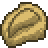 Tooth Fossil