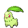 Chikorita
