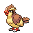 Pidgey