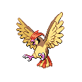 Pidgeotto