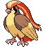 Pidgeot