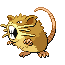 Raticate
