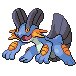 Swampert