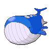 Wailord
