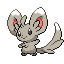 Minccino