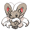 Cinccino