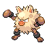 Primeape