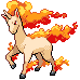 Rapidash