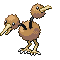 Doduo